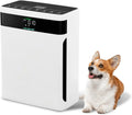 Purificateur d'Air HAUSHOF HEPA H13 CADR 250 m³/h, Filtration 4-en-1, Affichage en Temps Réel PM2,5, Mode Animaux, Aromathérapie